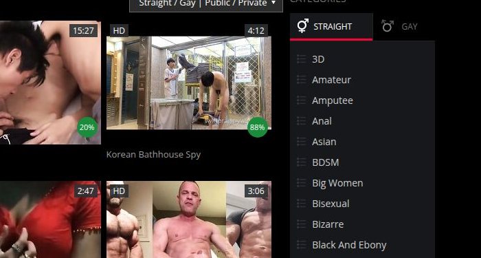 Videoraster von thisvid.com mit Dauer, HD-Marke und Titeln
